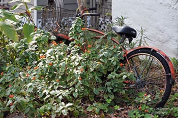 Descriptive alt text for image 2 - This image shows important visual content that enhances the user experience and provides context for the surrounding text.